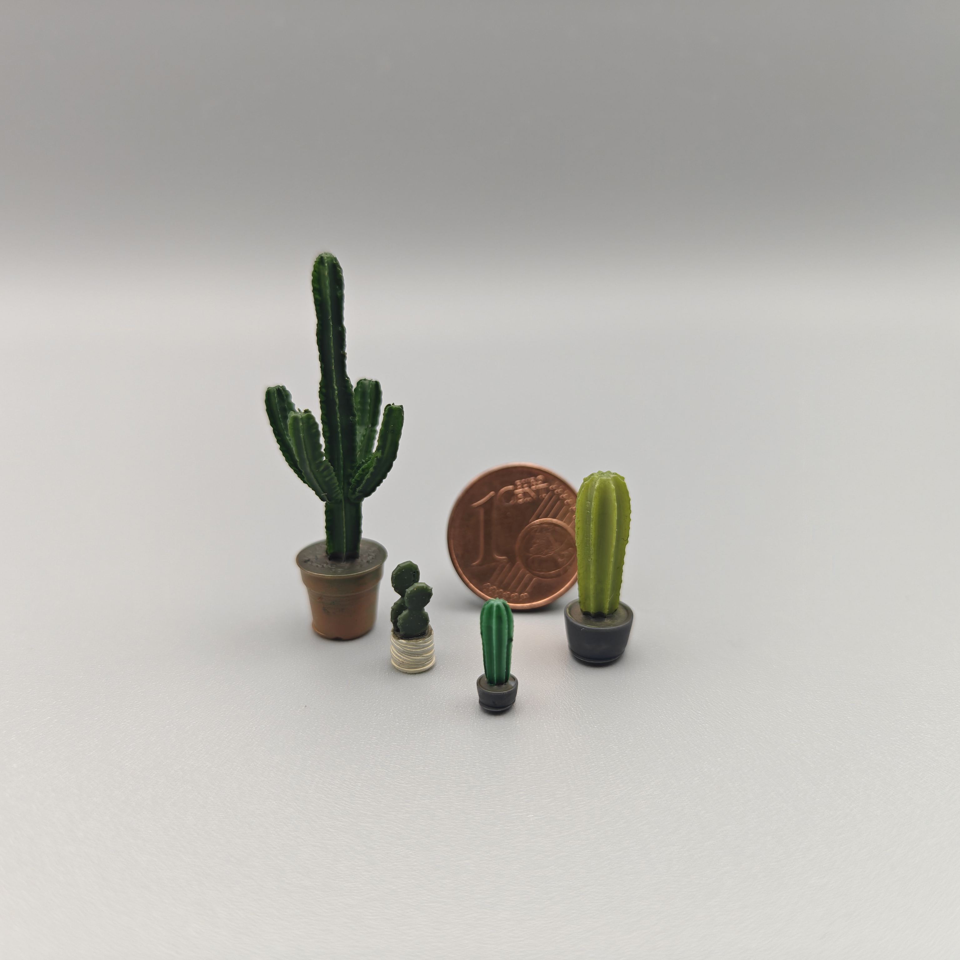Kakteen Gartenbahn